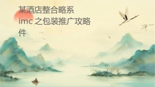 某酒店整合营销战略系统IMC之包装推广攻略课件