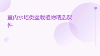 室内水培类盆栽植物精选课件