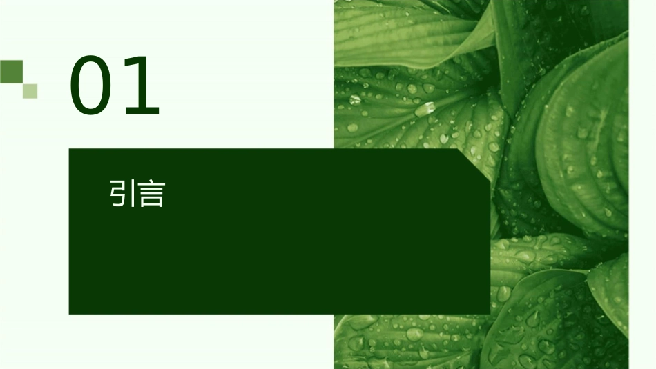 新部编版一上江南课件_第3页