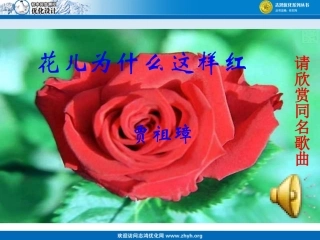 花儿为什么这样红