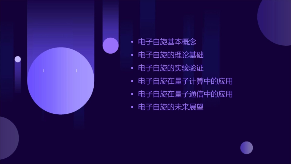 电子自旋华南师范大学物理与电信工程学院课件_第2页