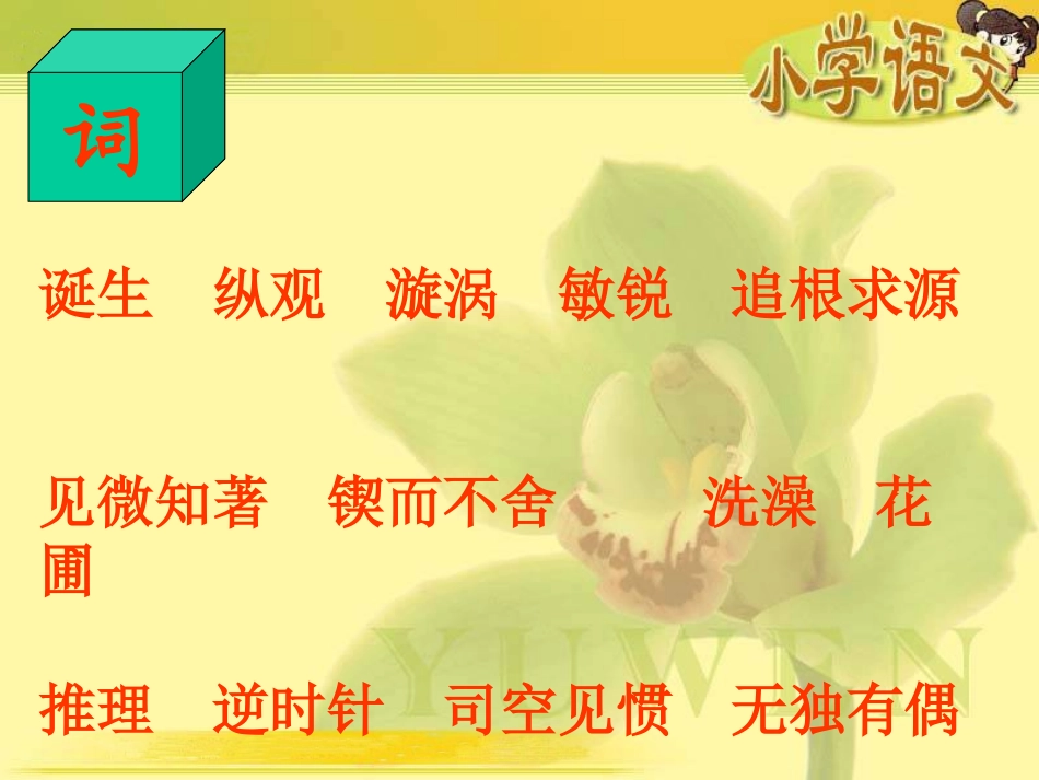 （人教新课标）六年级语文课件真理诞生于一百个问号之后_第3页