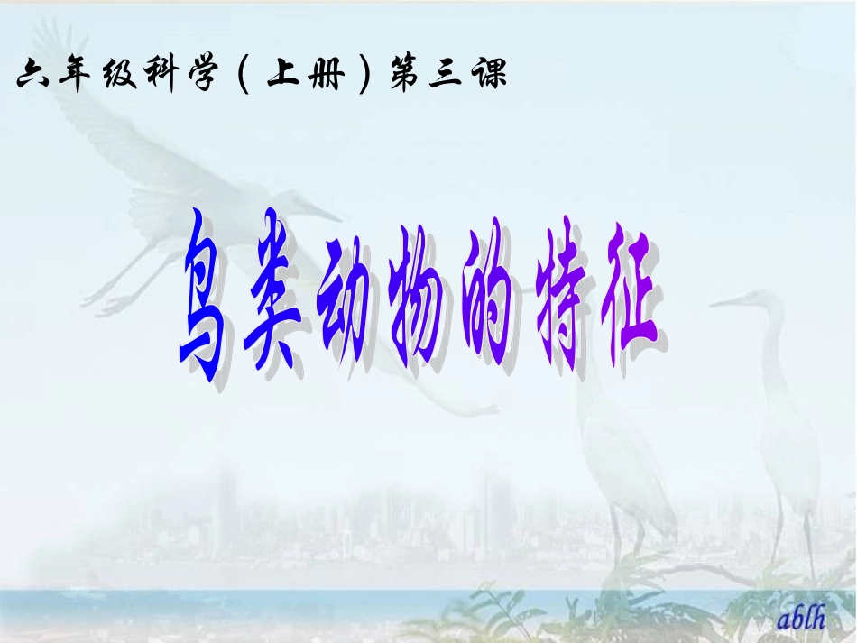 六年级科学(上册)第三课-鸟类动物的特征vf4pp_第1页