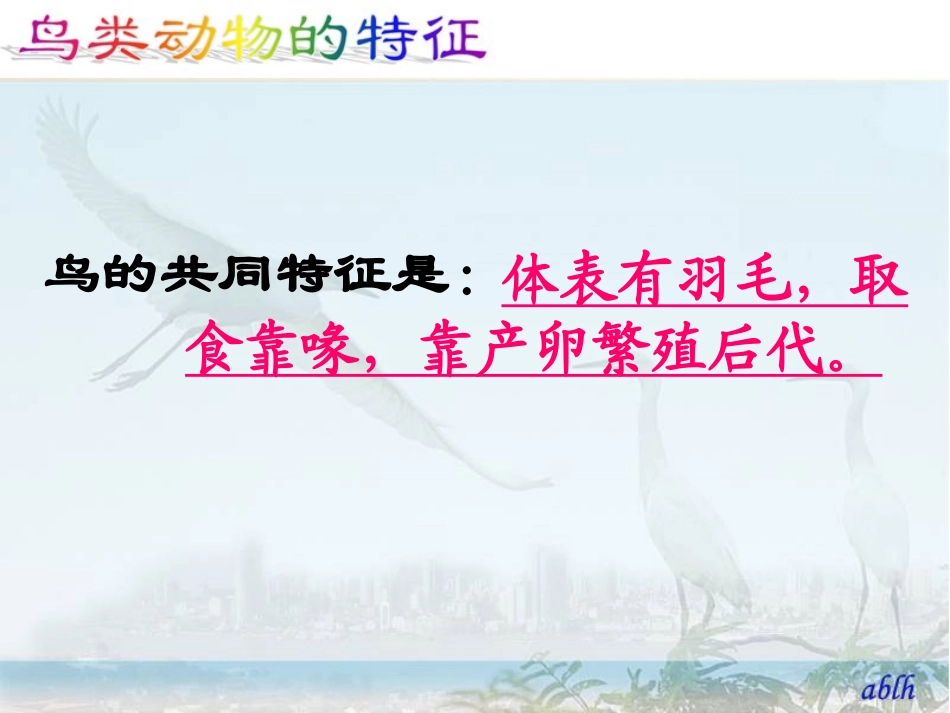 六年级科学(上册)第三课-鸟类动物的特征vf4pp_第3页