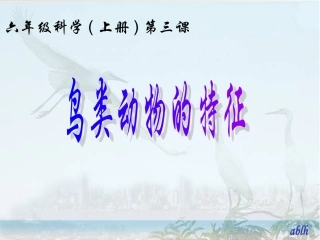 六年级科学(上册)第三课-鸟类动物的特征vf4pp