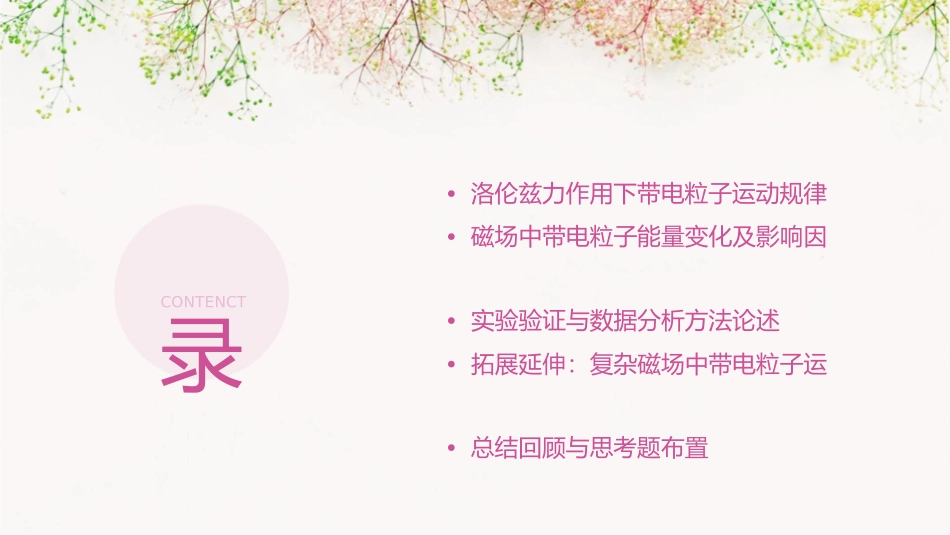 带电粒子在磁场中的运动公开课课件_第2页