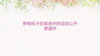 带电粒子在磁场中的运动公开课课件