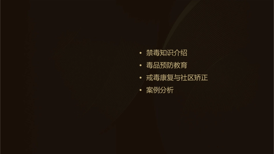 禁毒主题班会通用课件_第2页