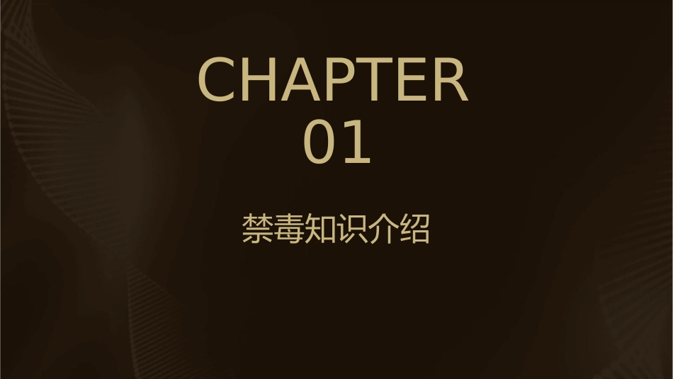 禁毒主题班会通用课件_第3页