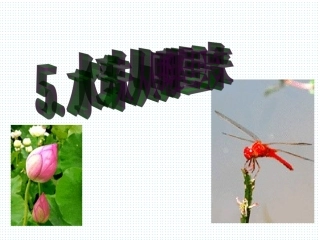 《水珠从哪里来》