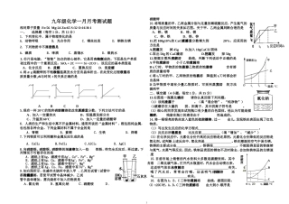 九年级化学八九单元综合测试题