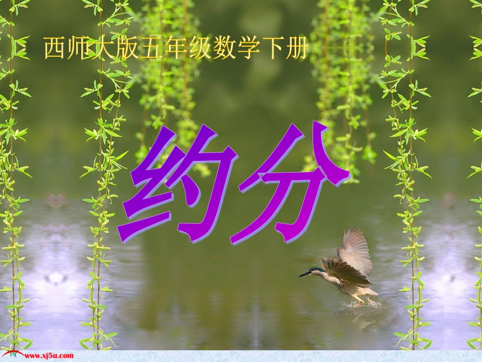 （西师大版）五年级数学下册课件约分_第1页