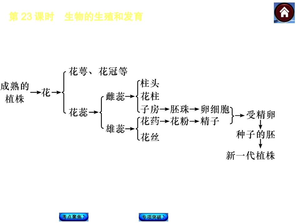 2015生物中考总复习课件（考点聚焦+归类探究+回归教材）：第23课时　生物的生殖和发育_第3页