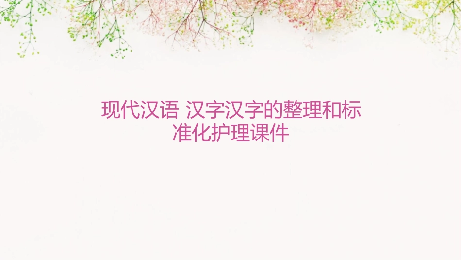 现代汉语 汉字汉字的整理和标准化护理课件_第1页