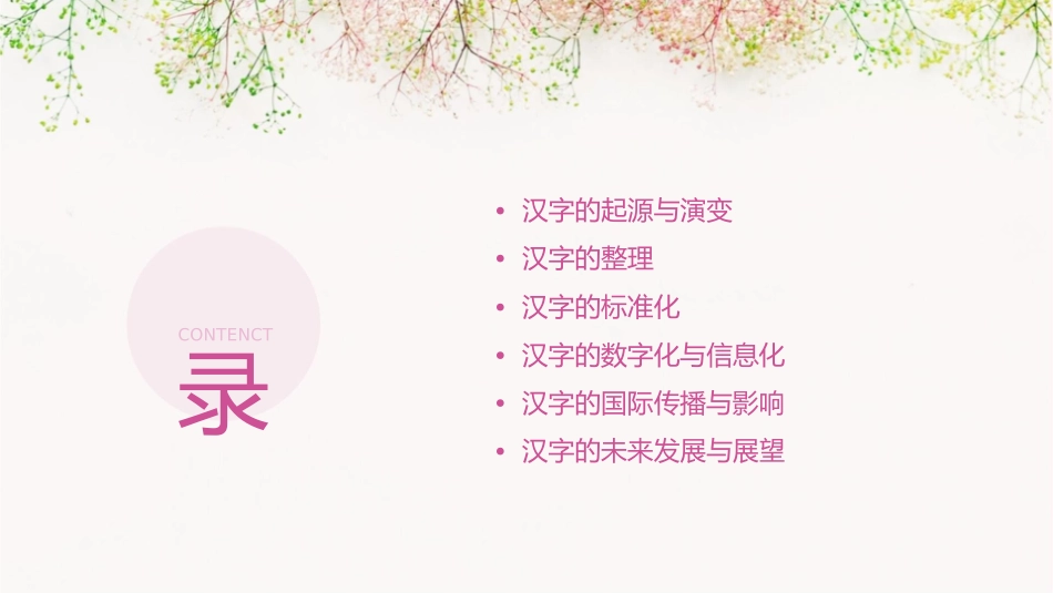 现代汉语 汉字汉字的整理和标准化护理课件_第2页