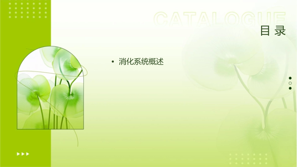 消化系统护理课件_第2页