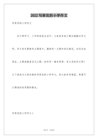 2024写荷花的小学作文