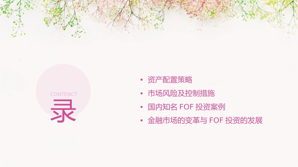 某投资企业FOF私募说明书课件_第2页