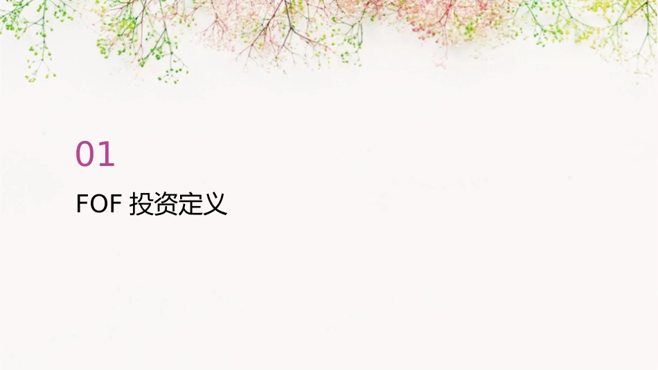 某投资企业FOF私募说明书课件_第3页