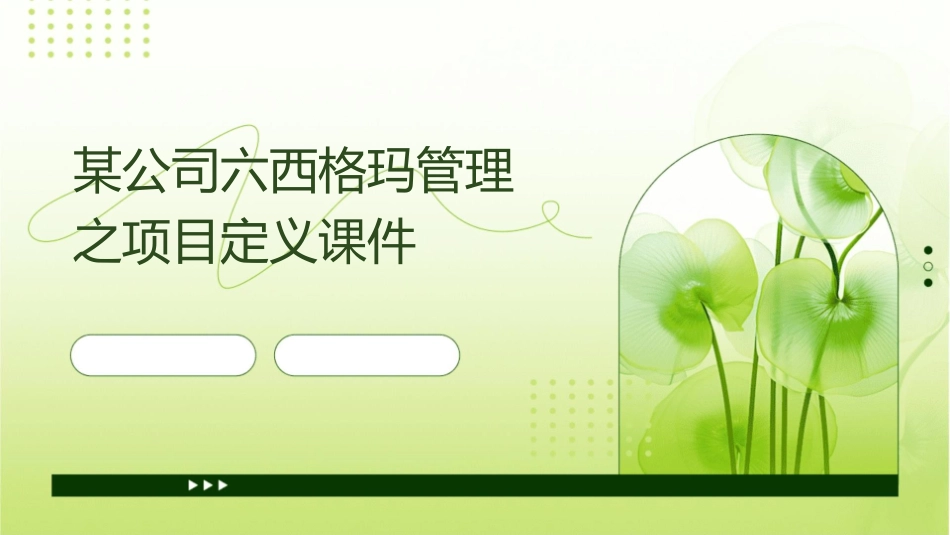 某公司六西格玛管理之项目定义课件_第1页