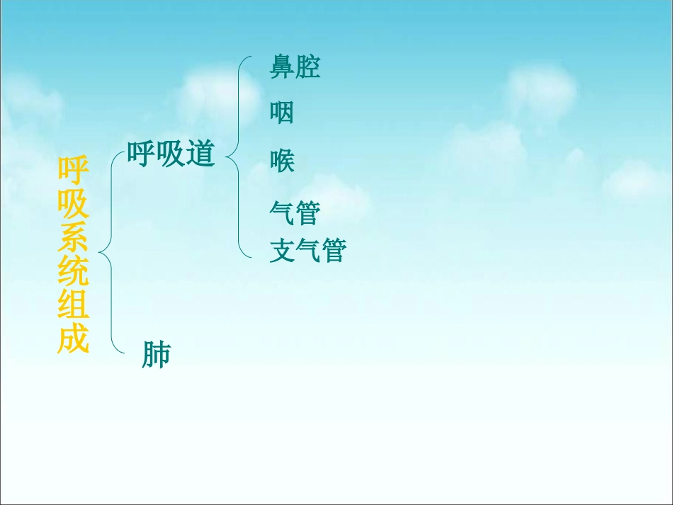 人教版七年级下册生物（新）第三章人体的呼吸第一节《呼吸道对空气的处理》参考课件（共计29张PPT）_第3页