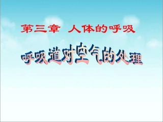 人教版七年级下册生物（新）第三章人体的呼吸第一节《呼吸道对空气的处理》参考课件（共计29张PPT）