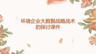 环境企业大数据战略战术的探讨课件