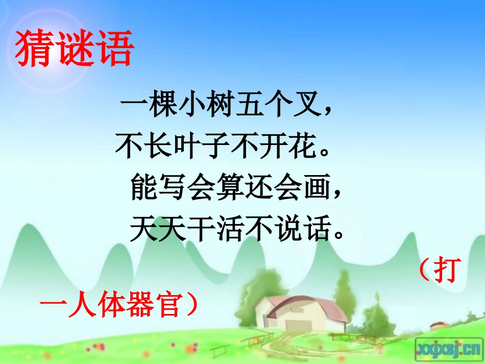 植树问题PPT_第2页