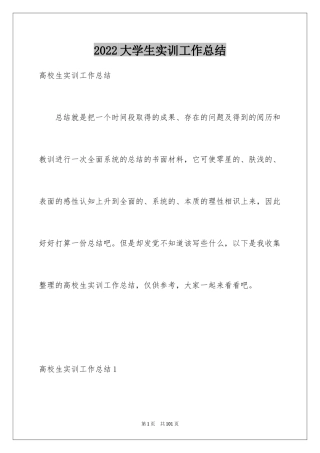 2024大学生实训工作总结