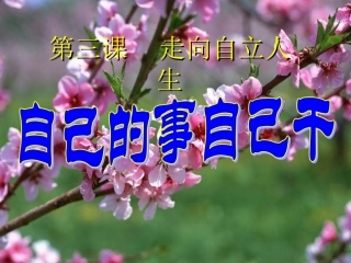 自己的事自己干 (2)