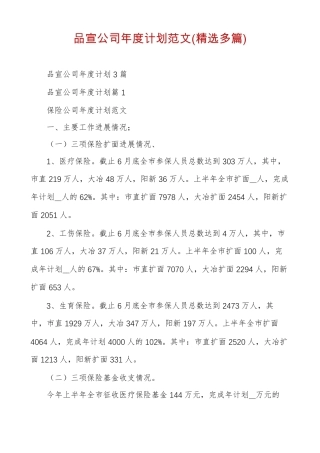 品宣公司年计划范文精选多篇