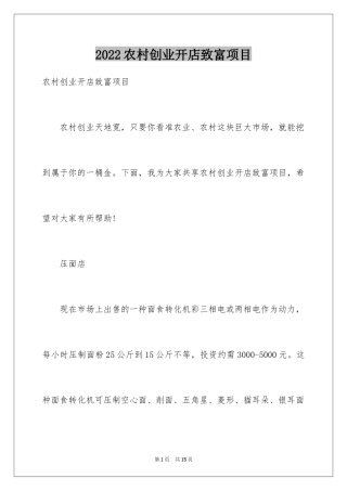 2024农村创业开店致富项目