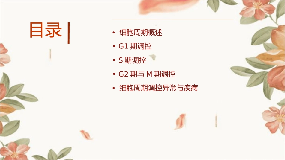 细胞周期调控课件_第2页