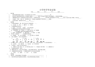 小学科学毕业试卷竞赛3