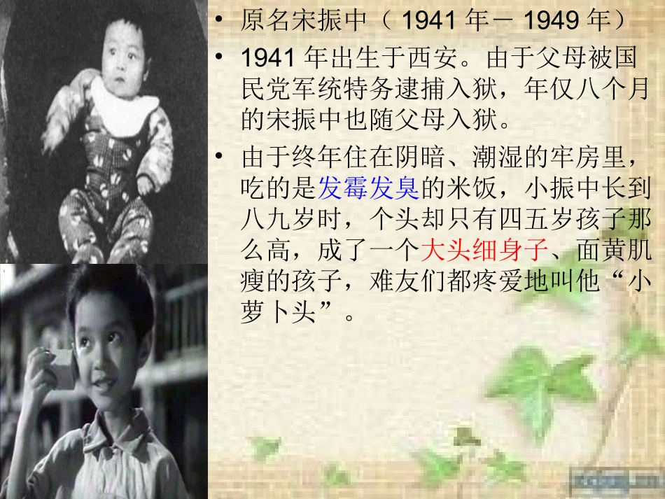 小萝卜头课件_第2页