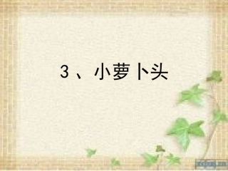 小萝卜头课件