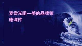 麦肯光明—美的品牌策略课件