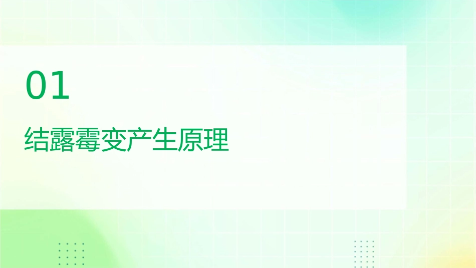 结露霉变产生原理及处理办法课件_第3页
