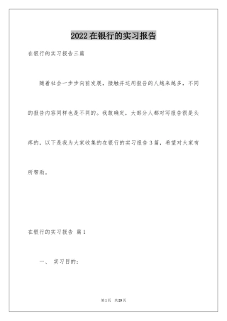 2024在银行的实习报告_12