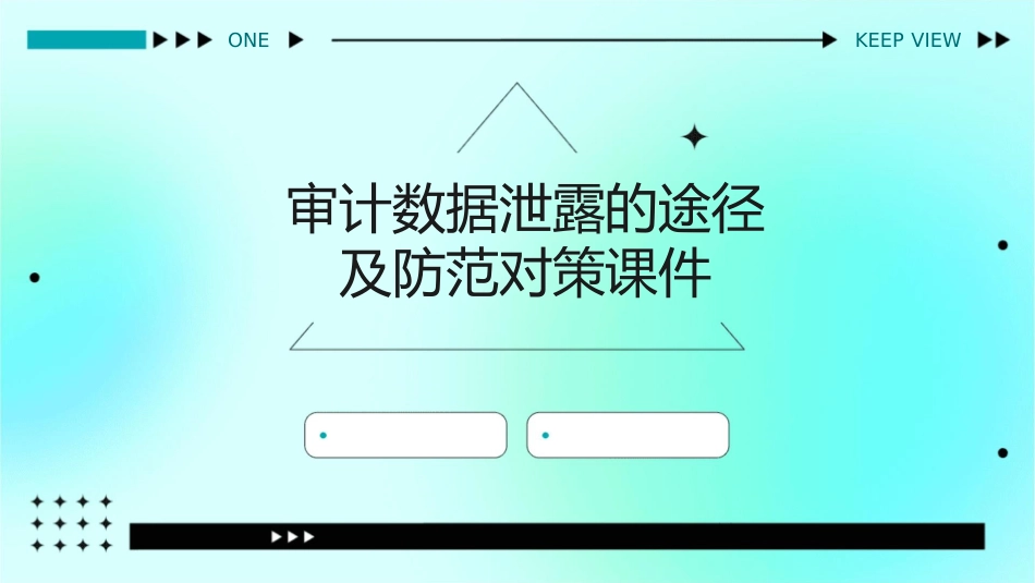 审计数据泄露的途径及防范对策课件_第1页