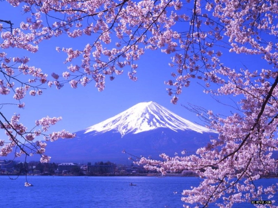 地理：71《日本》_第1页