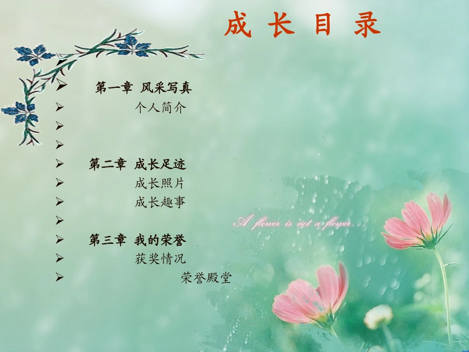 学生个人成长档案_第2页