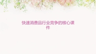 快速消费品行业竞争的核心课件