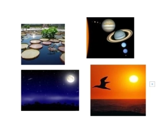 《圆的认识课件》_课件(1)