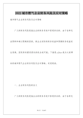 2024城市燃气企业财务风险及应对策略