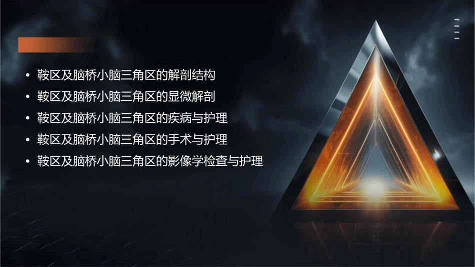 鞍区及脑桥小脑三角区显微解剖图解护理课件_第2页