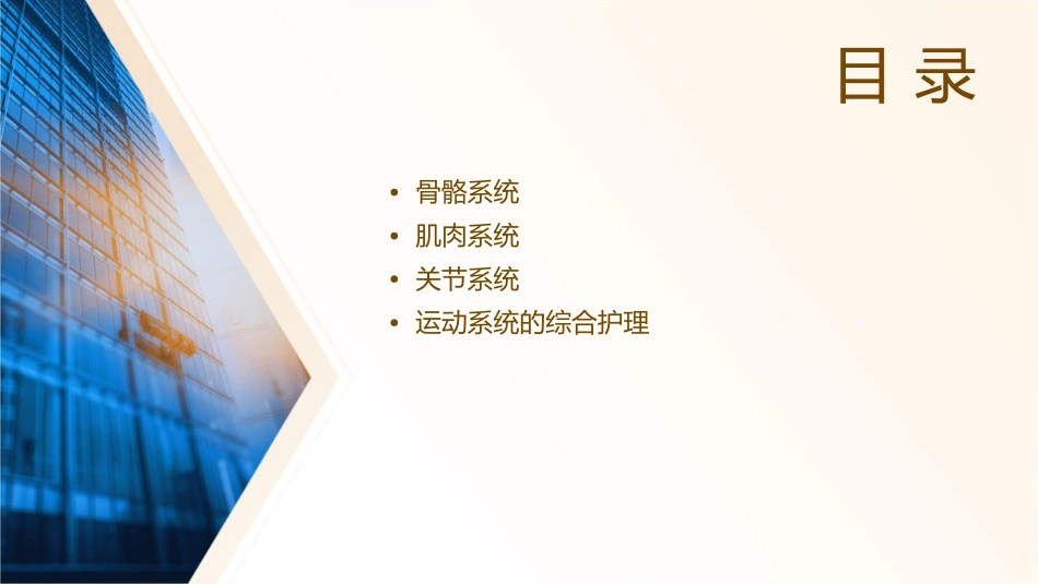 运动系统的解剖护理课件 (2)_第2页