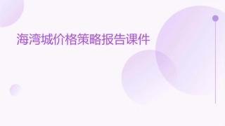 海湾城价格策略报告课件