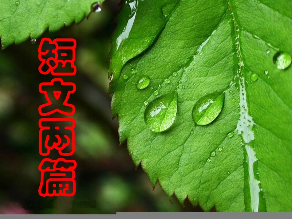 短文两篇《蝉》《贝壳》课件_终结版_第1页