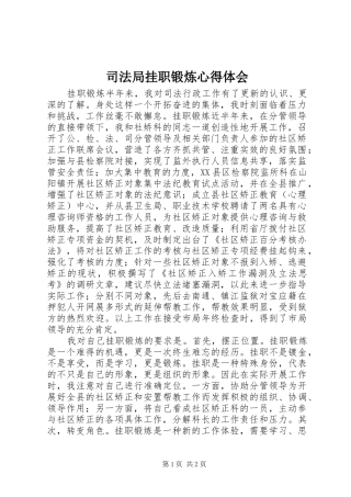 司法局挂职锻炼心得体会